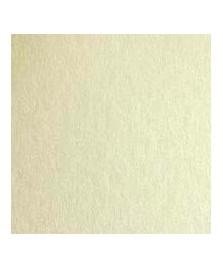 Carta BURGO Speciale Splendorgel / Icelaser avorio A3+