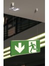 signshine suspension 148x297