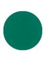 Termoadesivo Classic PVC  verde