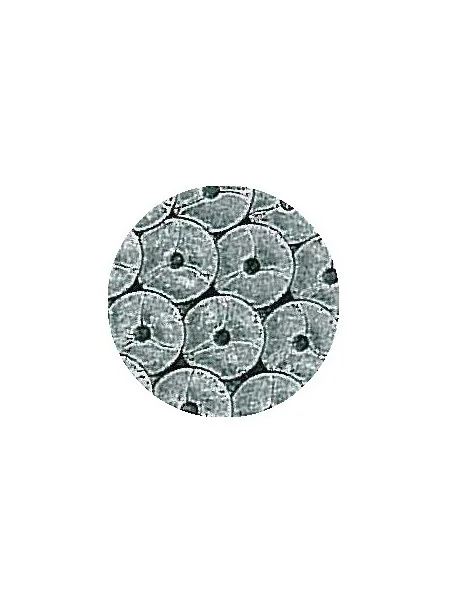 Termoadesivo Spangle