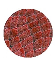 Termoadesivo Snake 