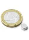 Disco magnetico Ø 6 mm, altezza 2 mm 