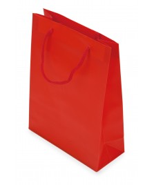 Borsa regalo in PVC 18x24x7,5 