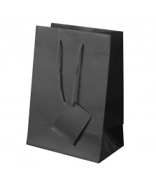 Borsa regalo in carta plastificata 23x16x10