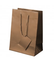Borsa regalo in carta plastificata 23x16x10