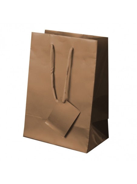 Borsa regalo in carta plastificata 23x16x10