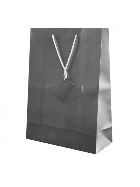 Borsa regalo in carta plastificata 30x22x11