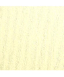 Carta Vergata Dalì A3+ bianca
