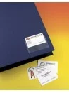 Tasca portabiglietto adesiva trasparente 100PZ 