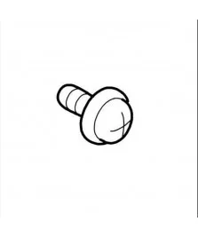 SCREW SET,BIND P-TIGHT3*10 3CBC 100PCS - 3000000192 