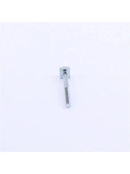 VITE DI SOSTEGNO PENNINO - 22285352 