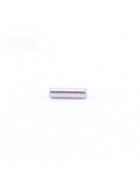 SPINA PARALLELA - 12149391 