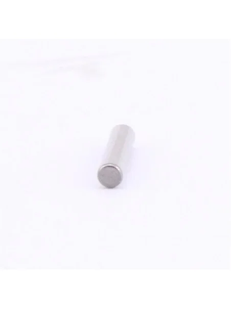 ALBERO PULEGGIA - 22155895 