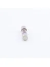 FUSIBILE CEE 3.15AT - 12559572 