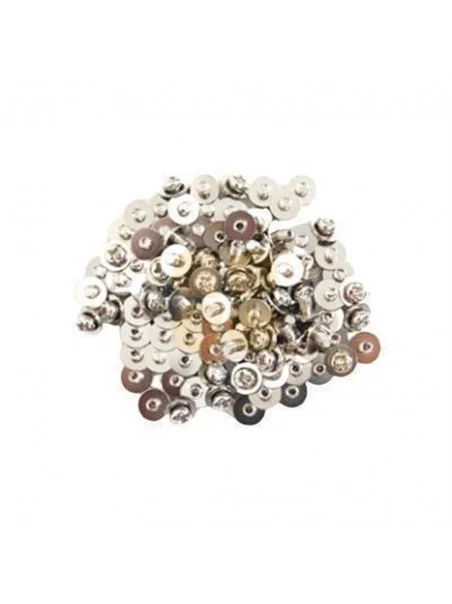 SCREW SET,PAN M3*4 NI+PW 100 PCS - 31089110AS